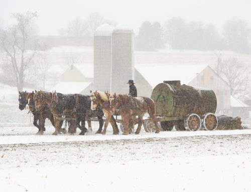 Amish of Pennsylvania