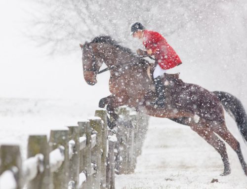 FOX HUNTING IN PENNSYLVANIA
