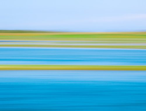 PANNING
